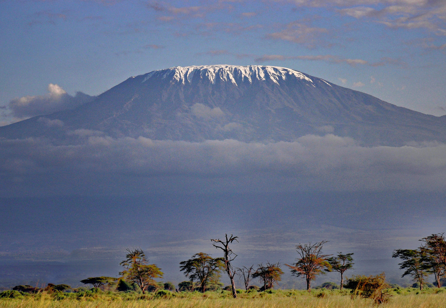 Majestic Kilimanjaro
