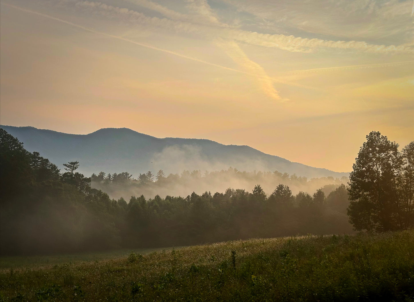Smoky Cades Cove