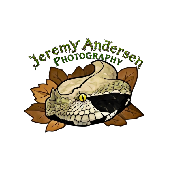 Jeremy Andersen Photography